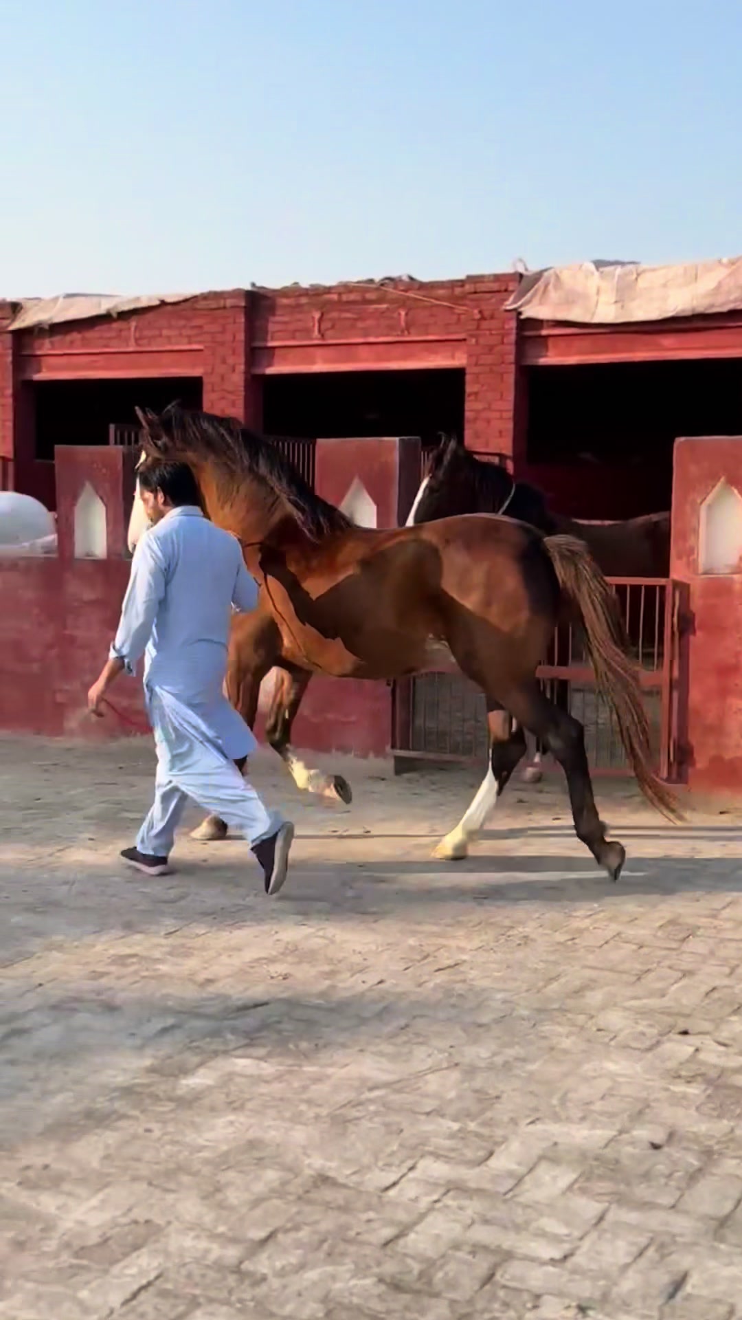 @Syed Asad Rizvi