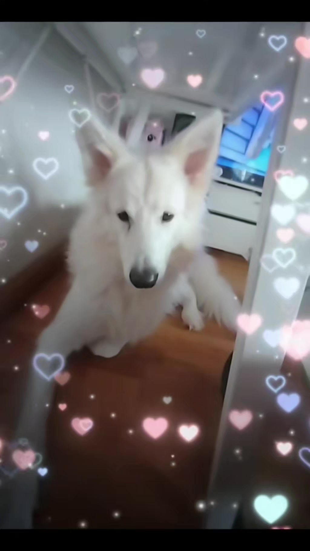 @💖💖💖Love💖💖💖