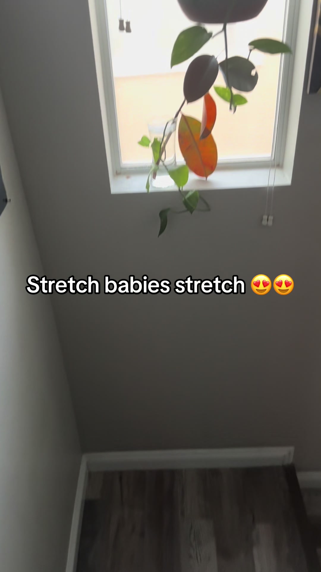@MisGenevieve