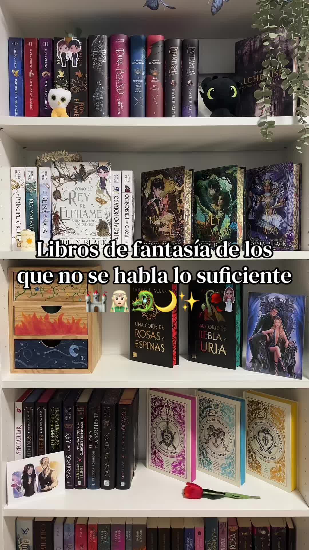 @Thedarkmoonbooks🌙✨