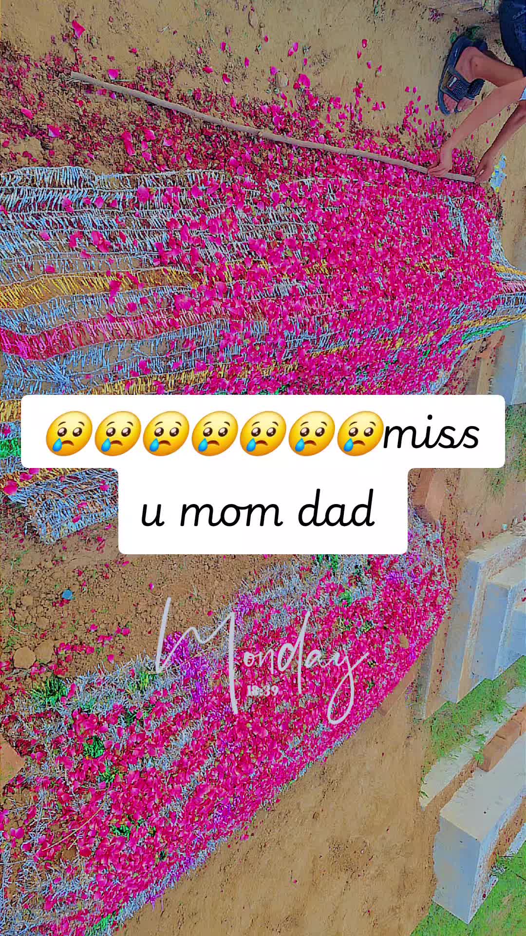 @❦︎༄🦋🅐︎ Ⓚ︎🅗︎Ⓐ︎🅝︎🦋࿐