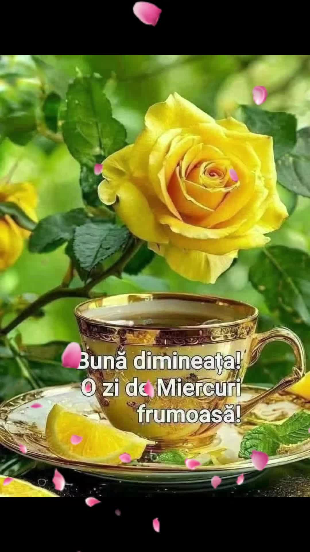 @Nicolae Iamandi Marin