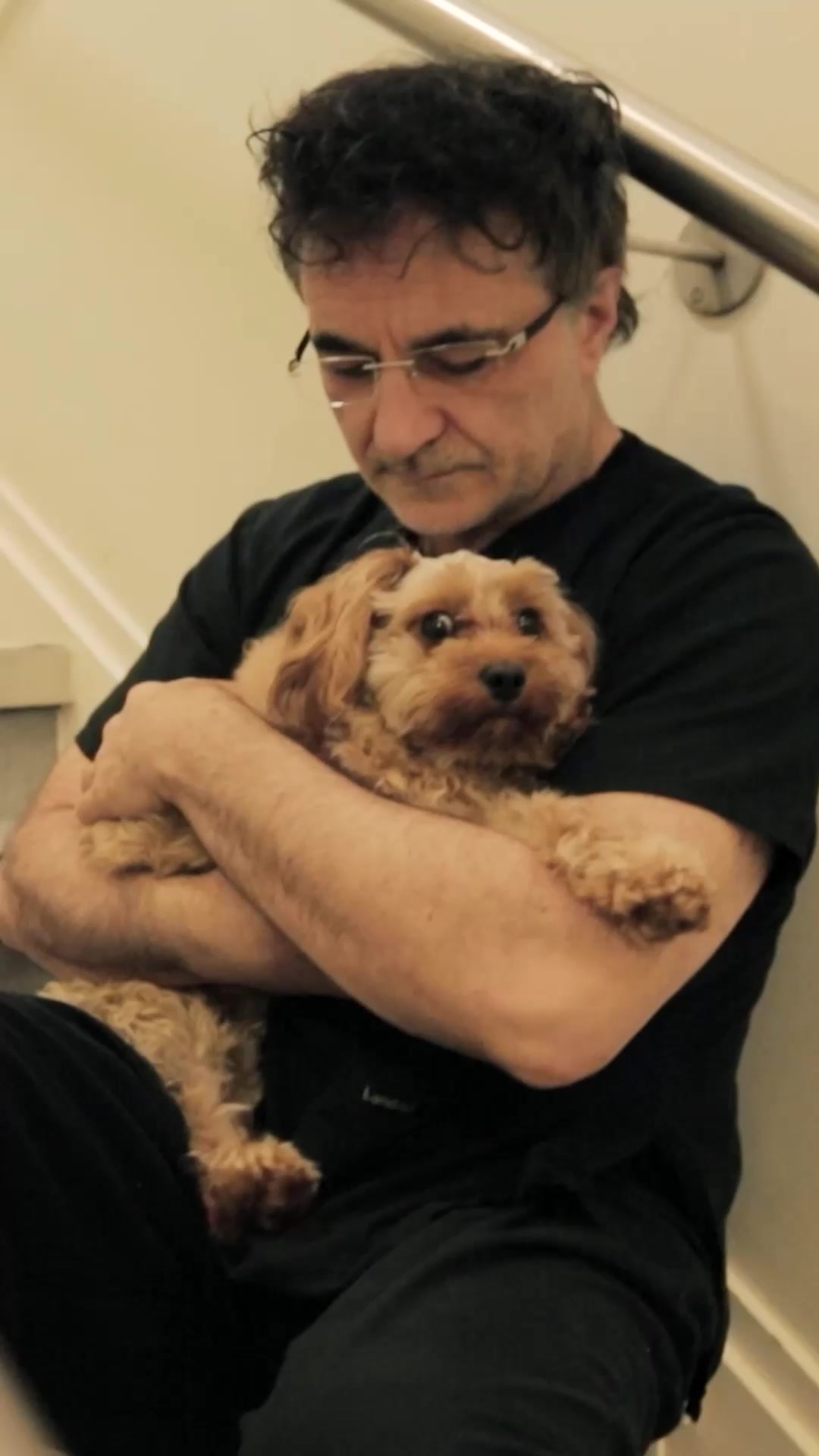 @profnoelfitzpatrick