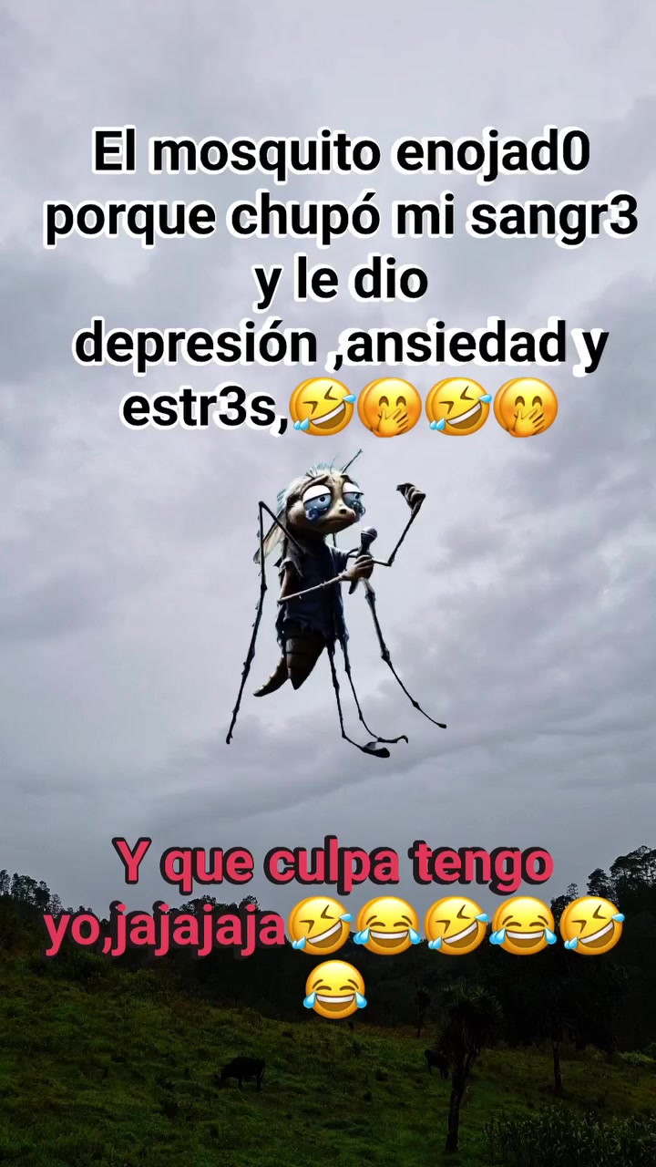 @noe