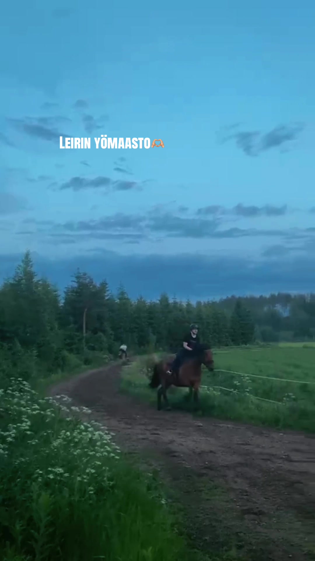 @Ponirannan talli🇫🇮🐎