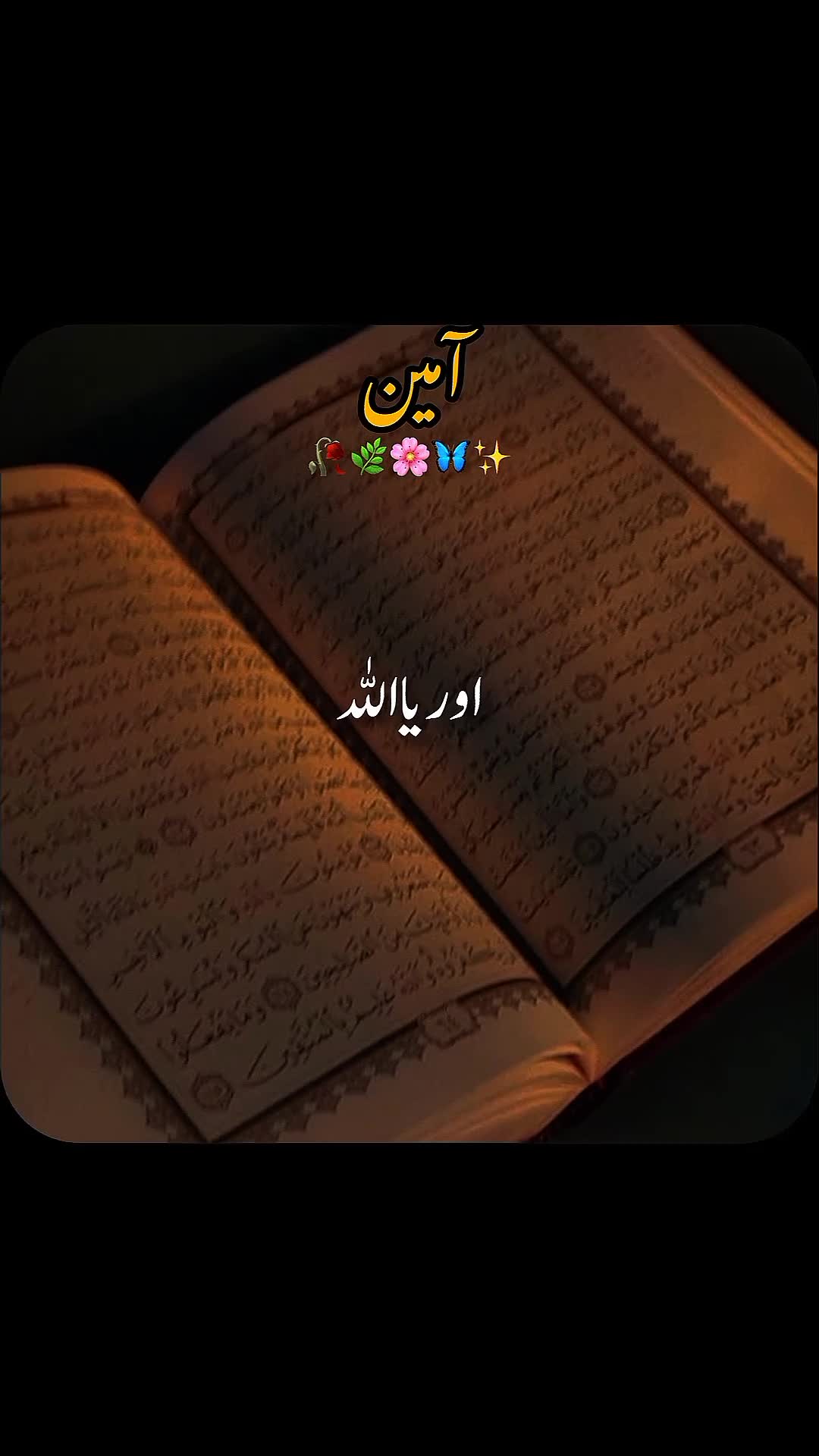 @✨dilawar edits✨