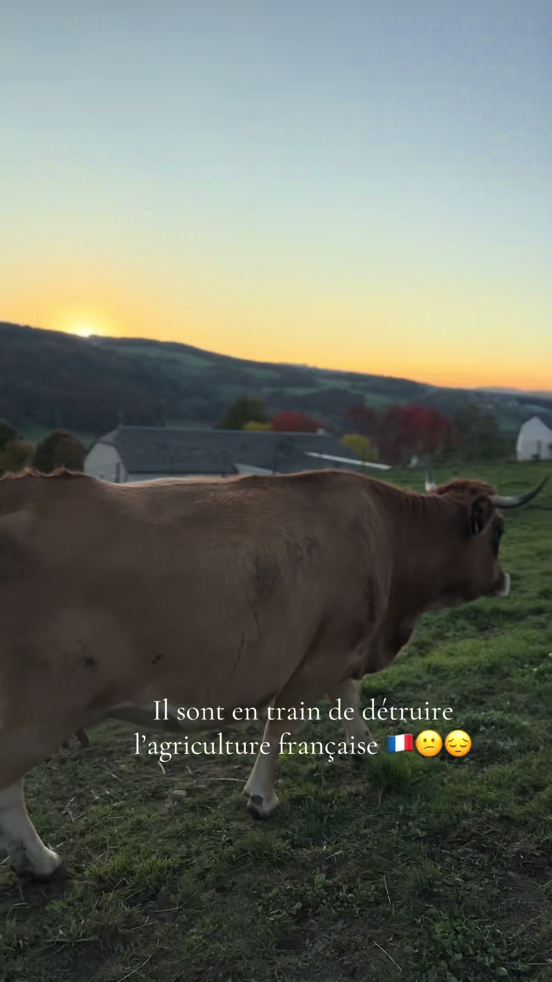 @dorian_agri48