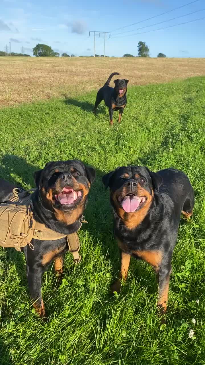 @tasha.stella.lola.kong