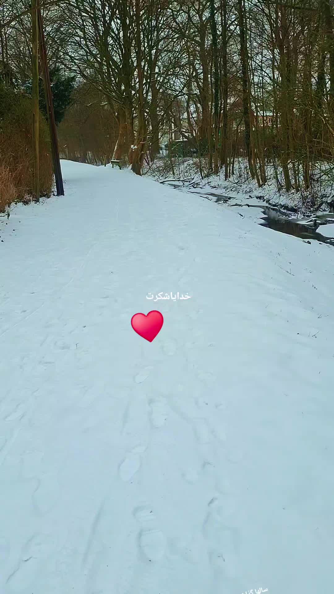 @sadaf