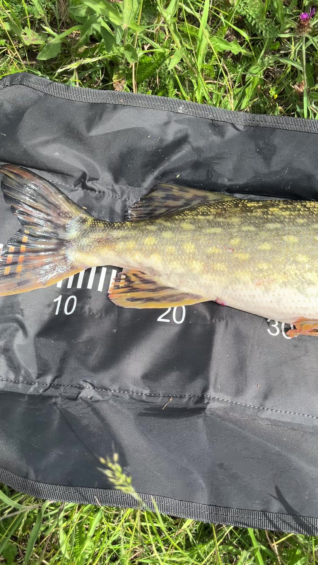 @Custom lure factory