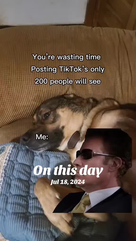 @auntietiktoks💕
