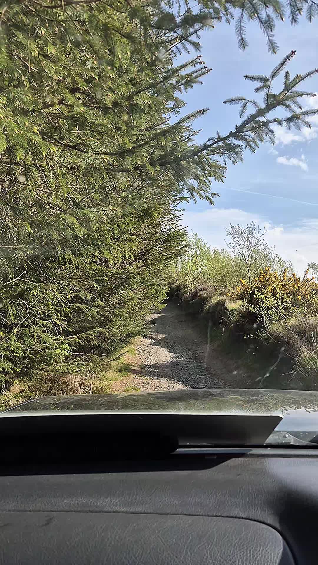 @slate and steel 4x4