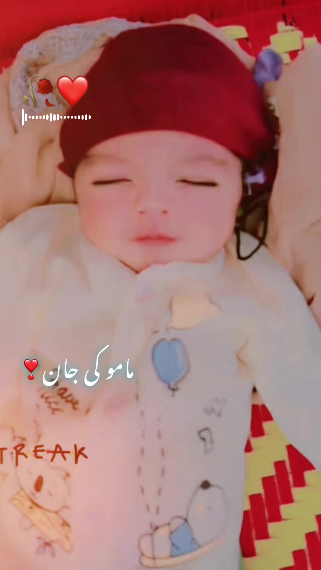 @Ansar🇵🇰🇪🇺🇨🇾🦅