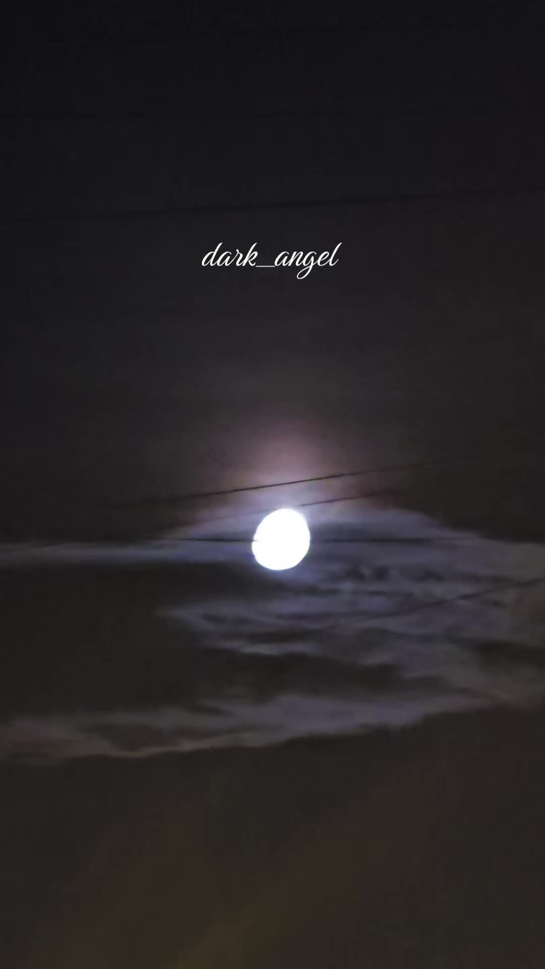 @Dark Angel