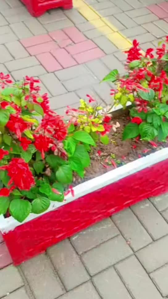 @❤️🩹Noor shazadii❤️🩹
