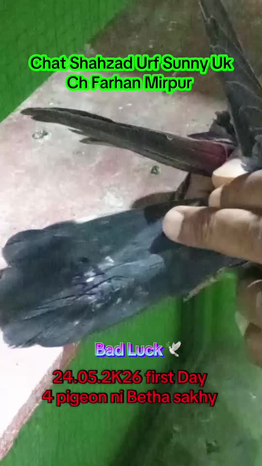 @چھت شہزاد عرف  سنی UK