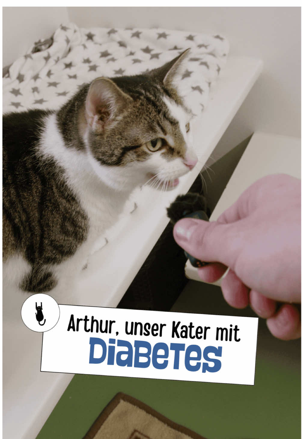 @Tierheim_Bremerhaven