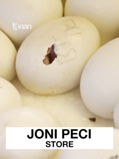 @RTV KLAN