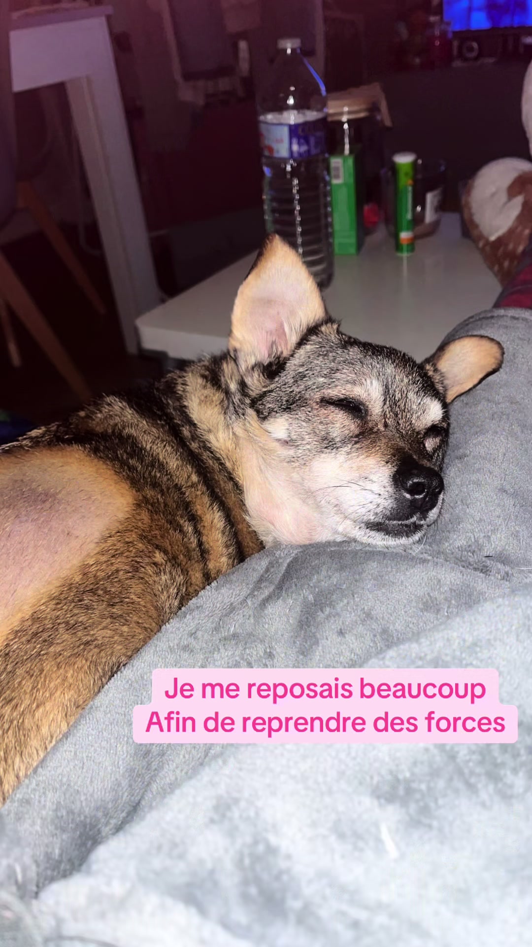 @Wendy & ses Choupettes