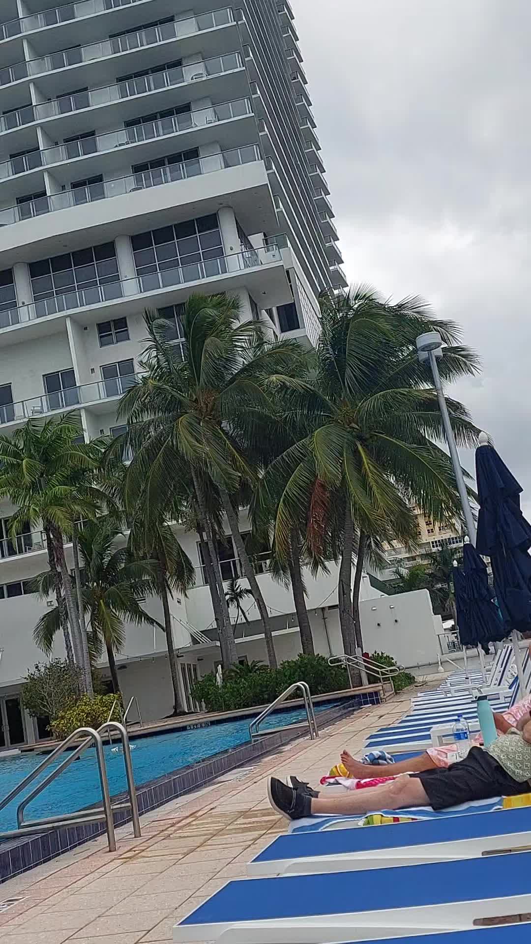 @Meli