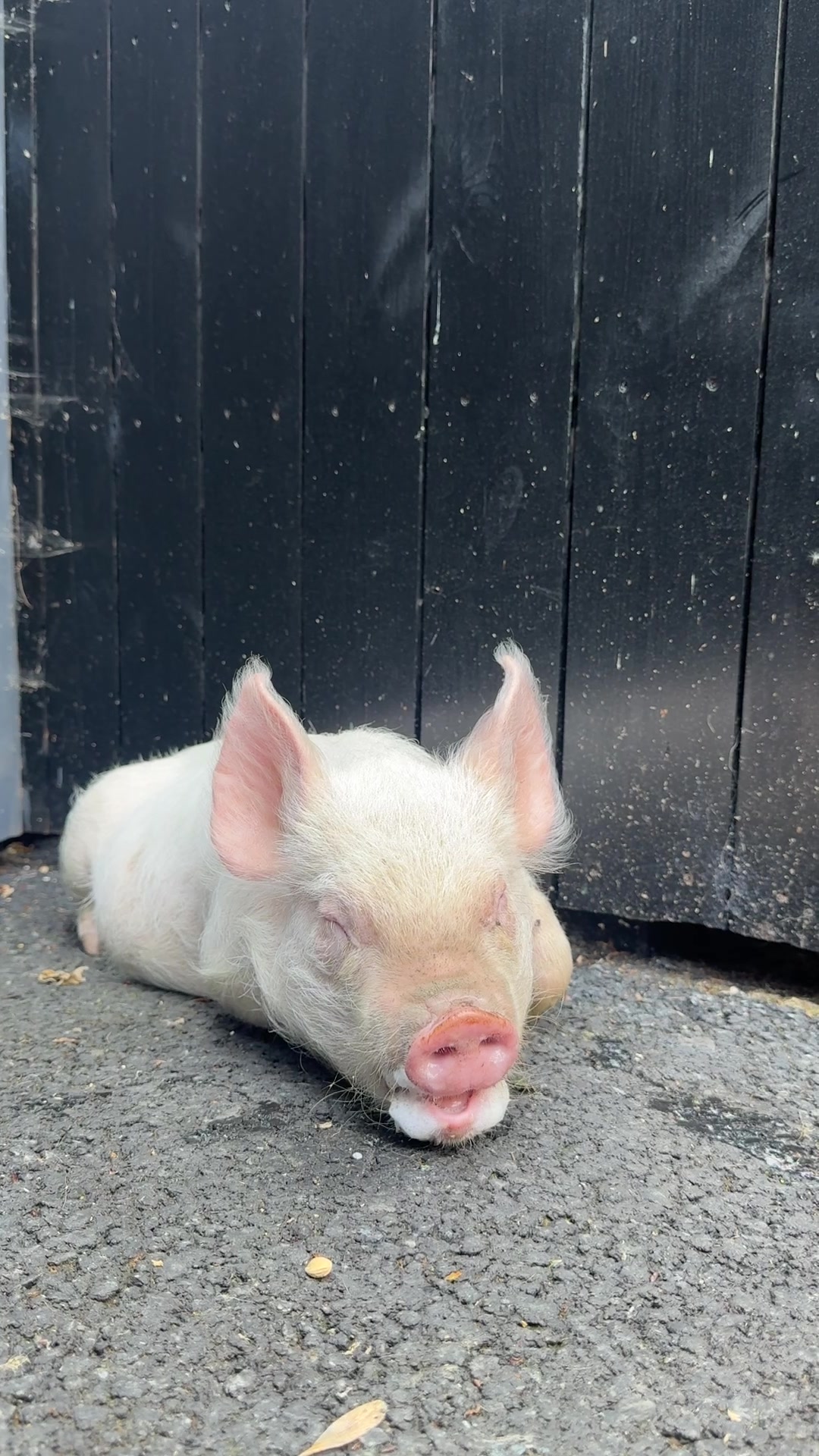 @itsthatfarmguy