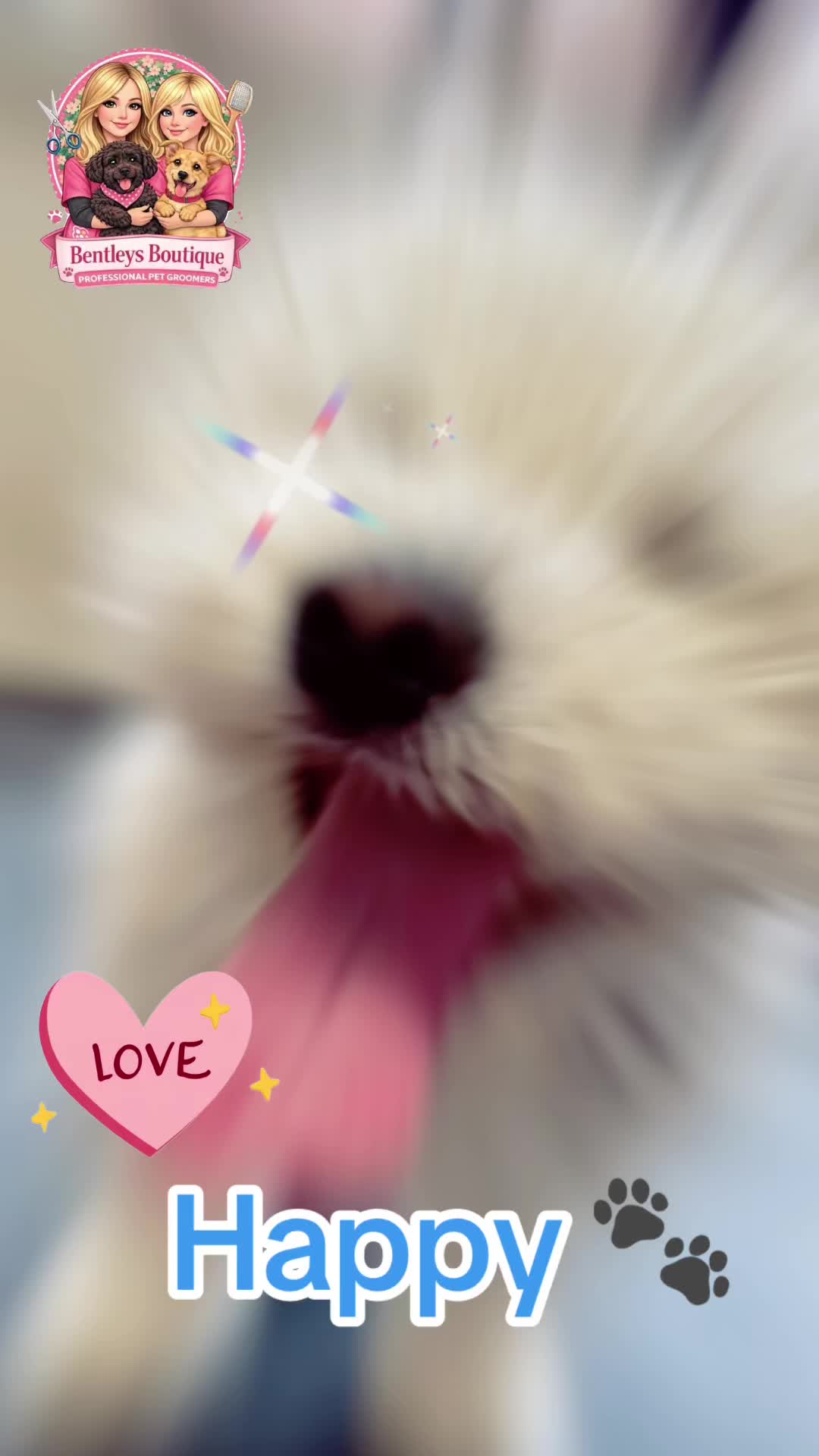 @Bentleys Boutique Pet Groomers