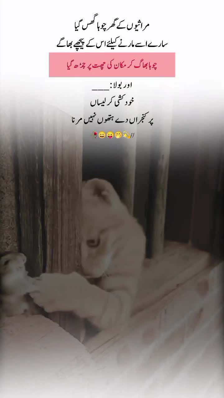 @【𝐌𝐮𝐠𝐡𝐚𝐥 𝐖𝐫𝐢𝐭𝐞𝐬】