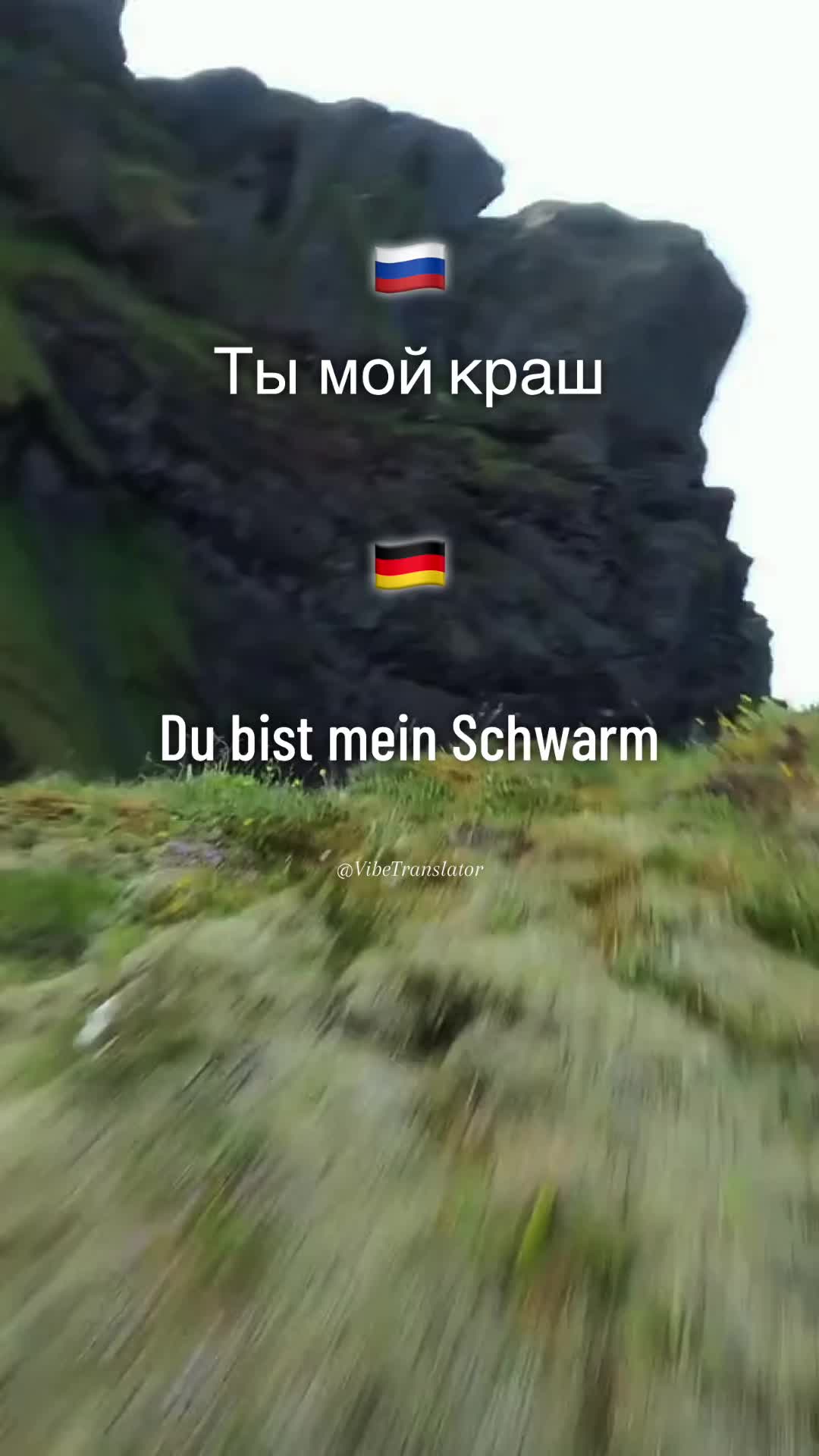 @VibeTranslator