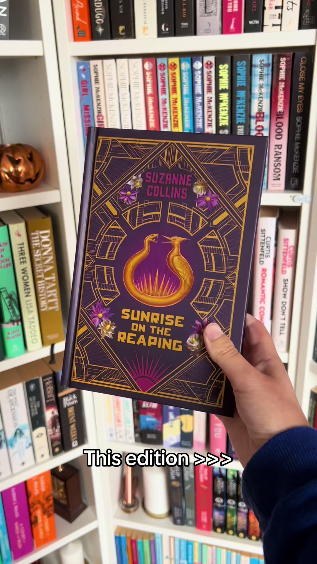 @Adventures in Bookland