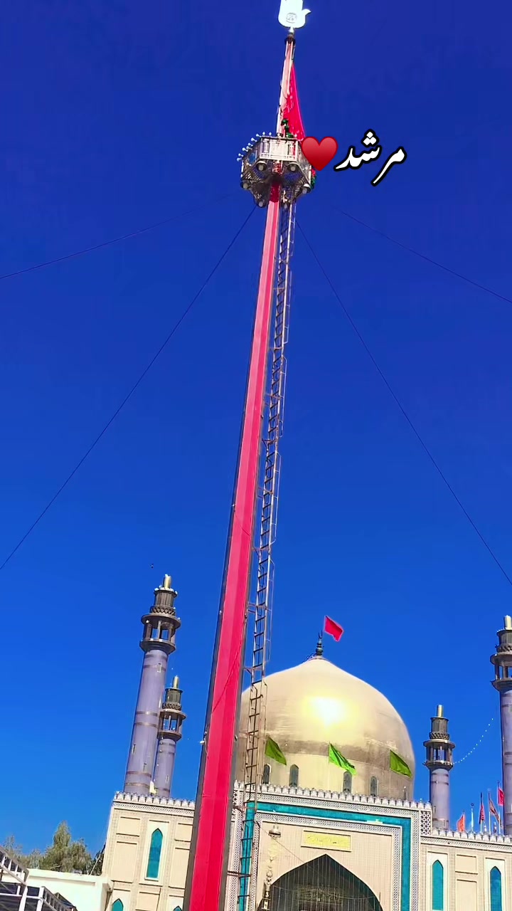 @najaf ali 786