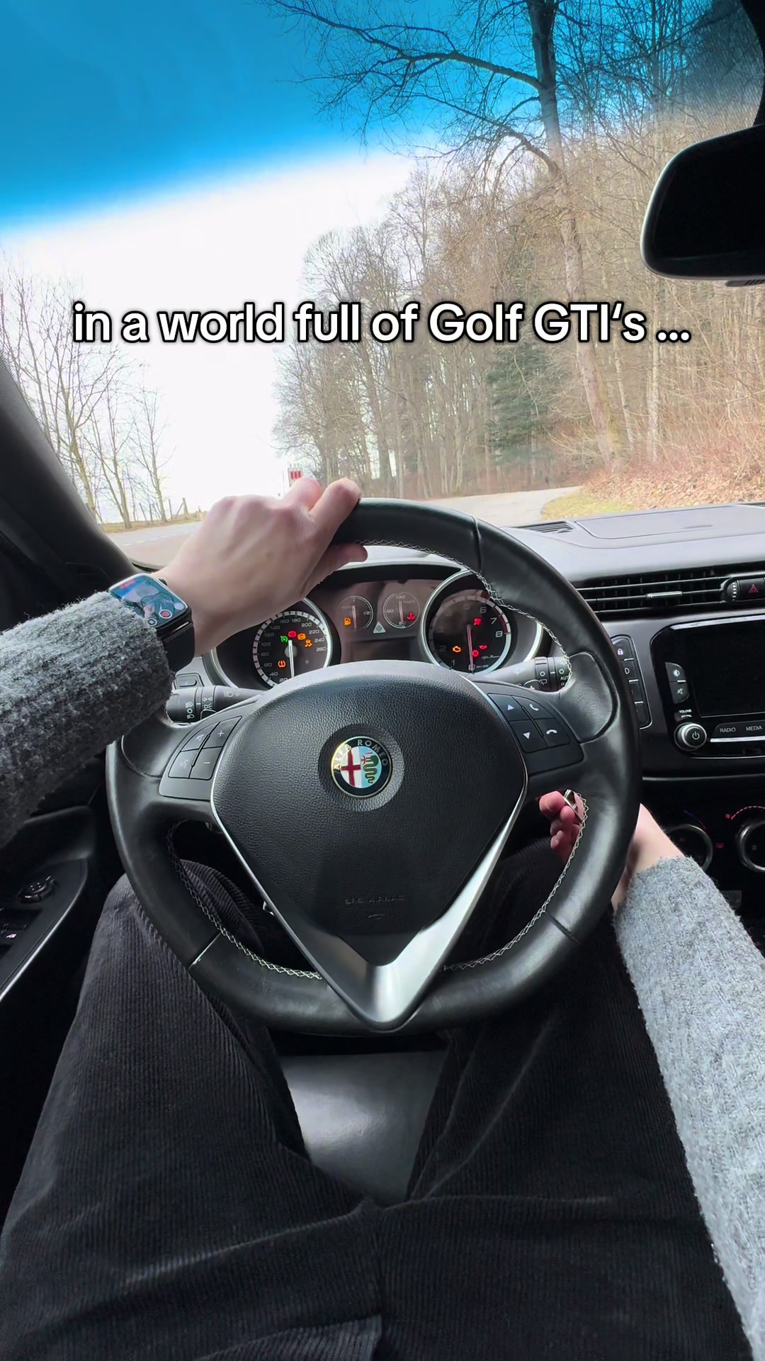 @drivenlikestolen