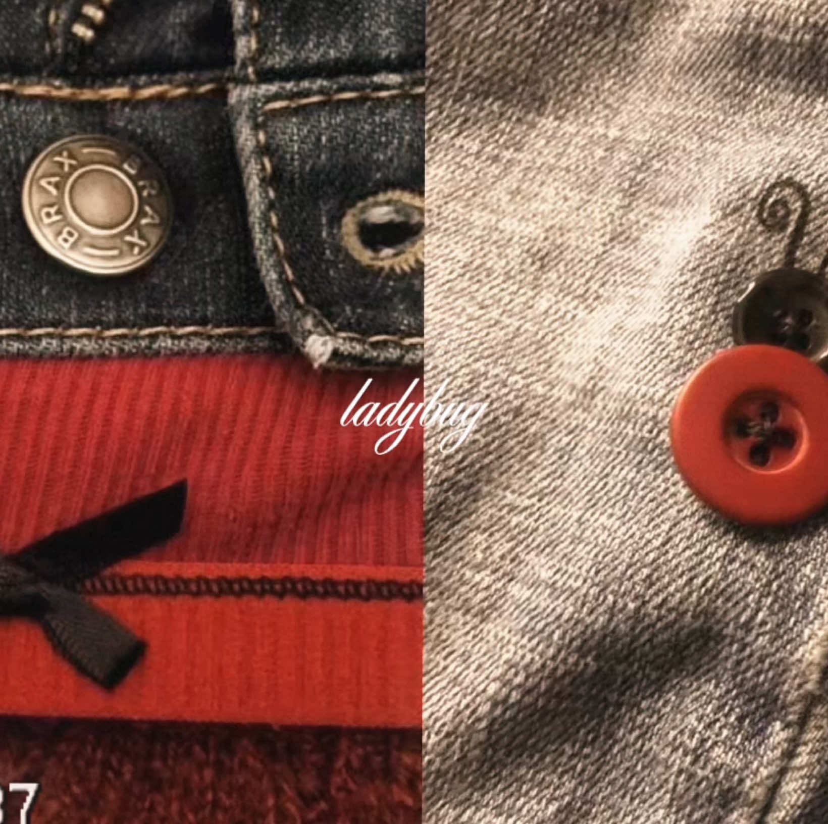 @ladybug