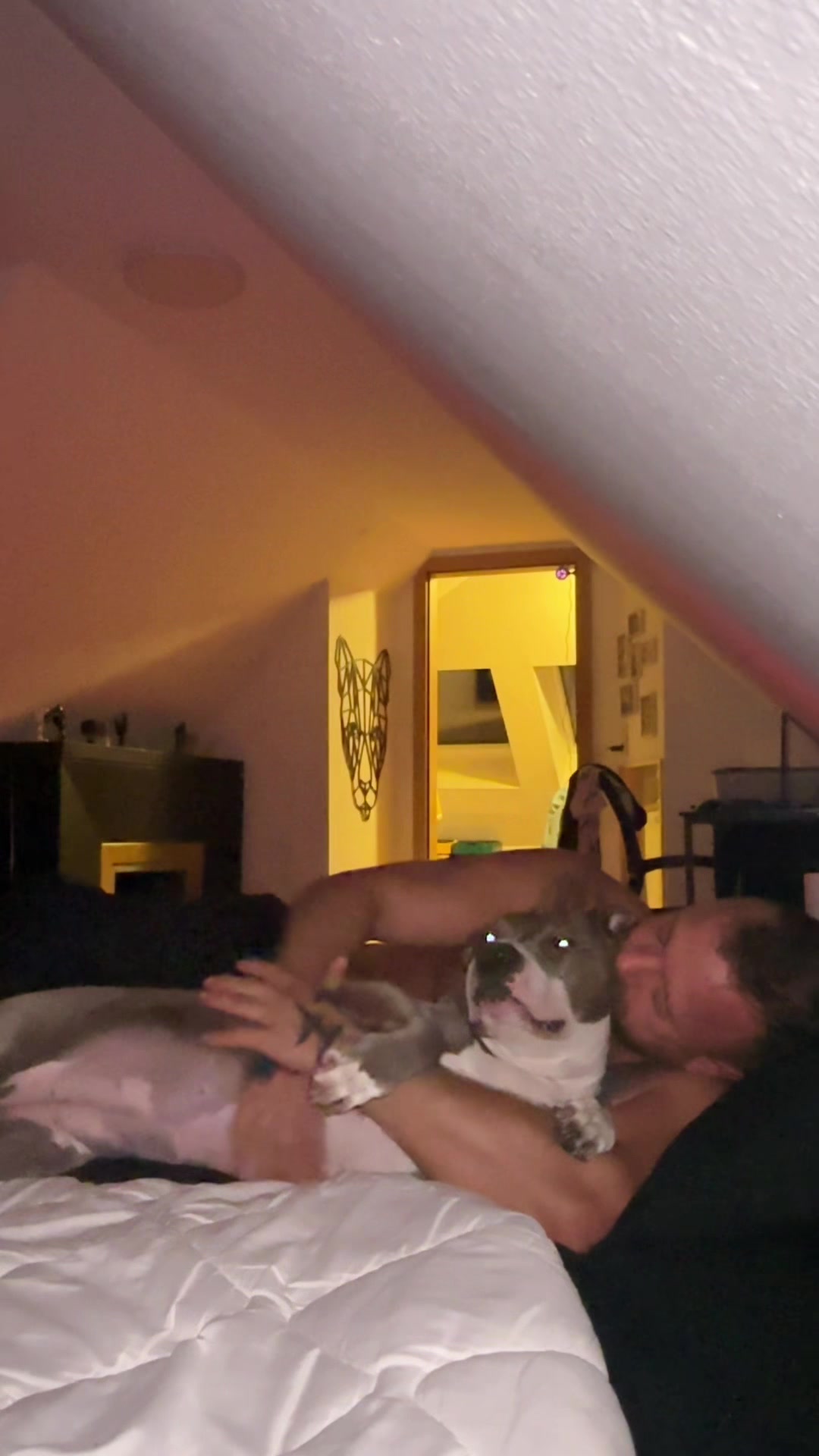 @Patric&Emma🐶