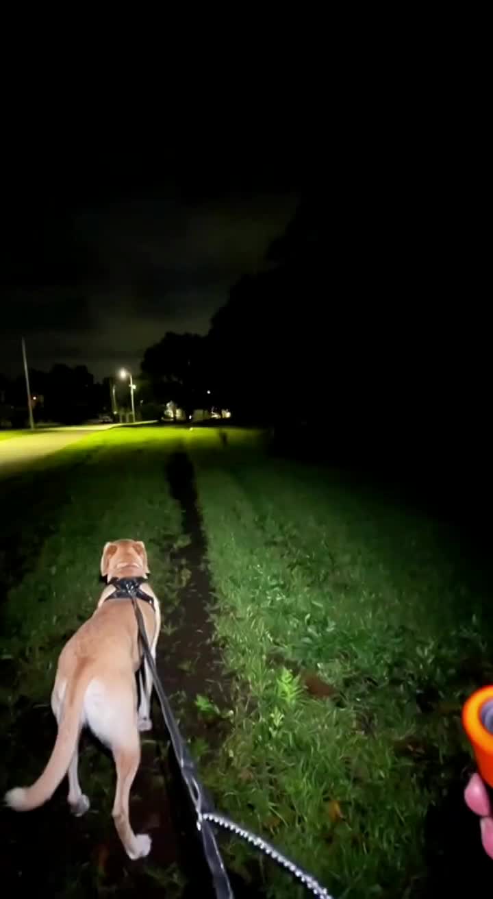 @pawpawchum