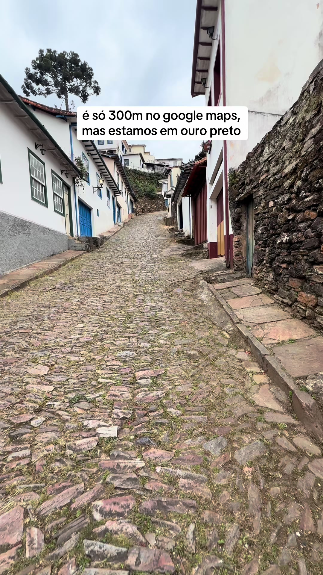 @carolinaguimaraesss