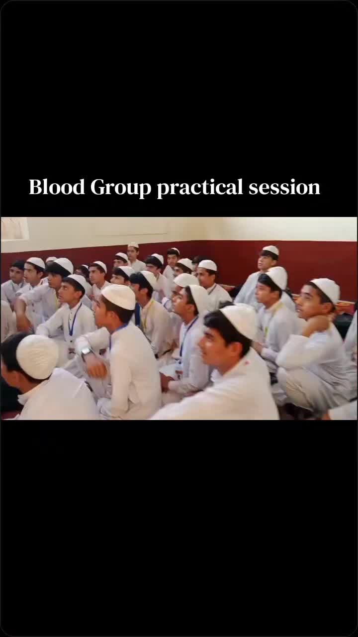 @madina model school & college