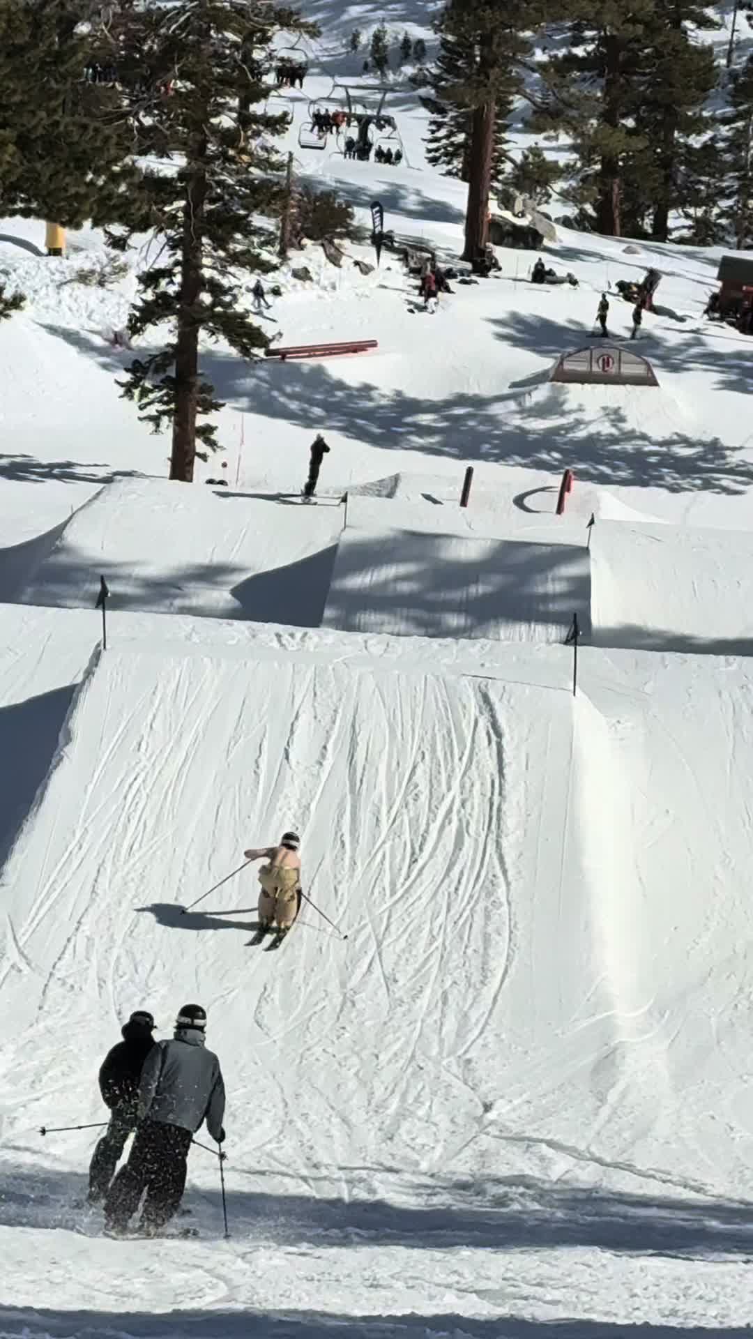 @switchdive