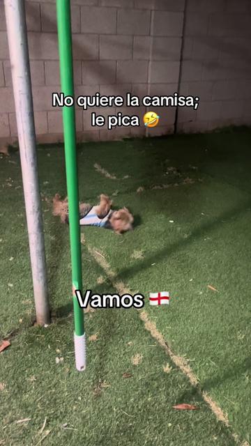 @Noemi81