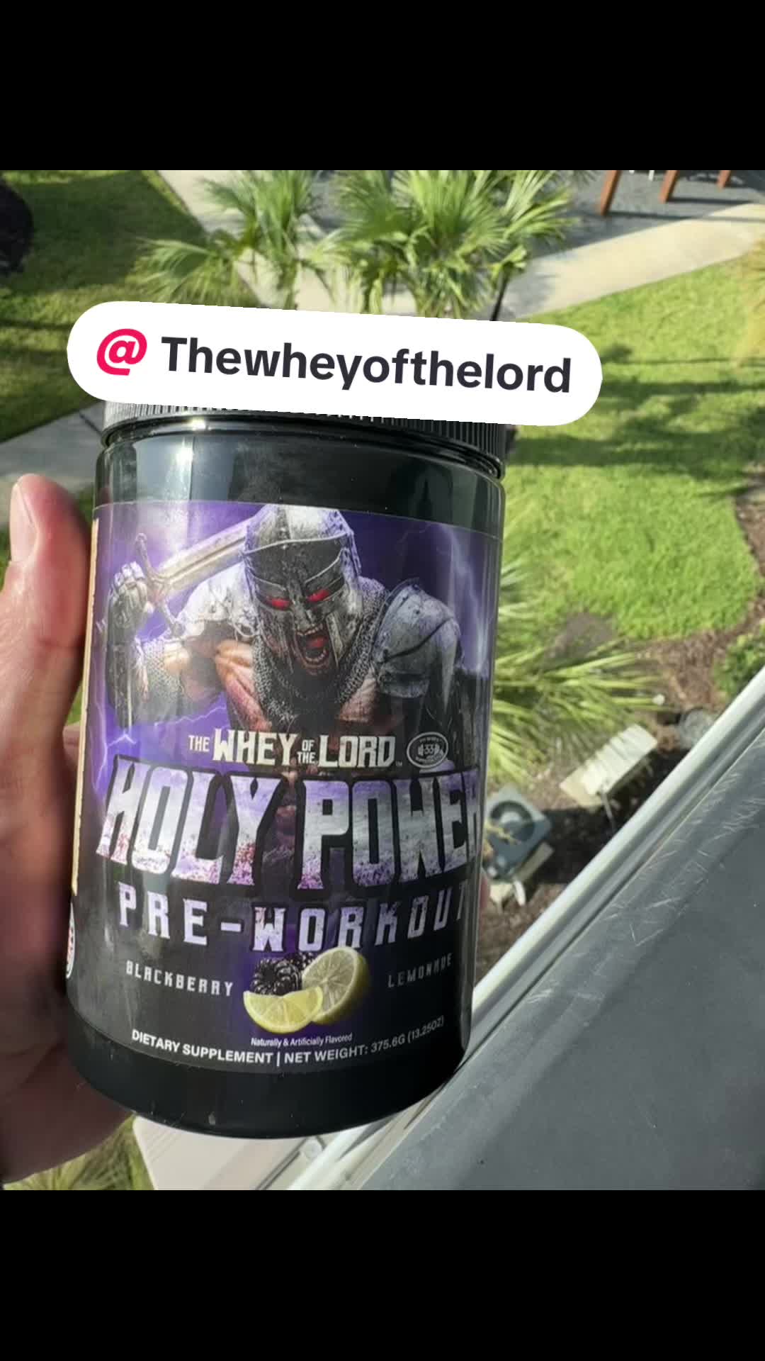 @thewheyofthelord