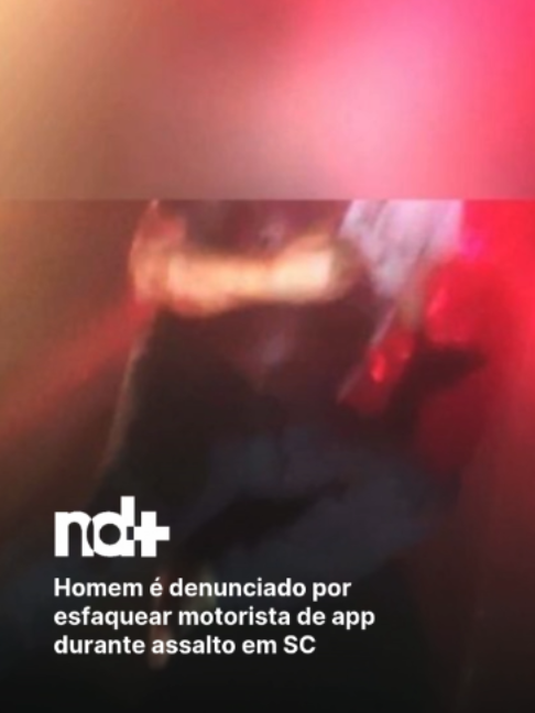@portalndmais