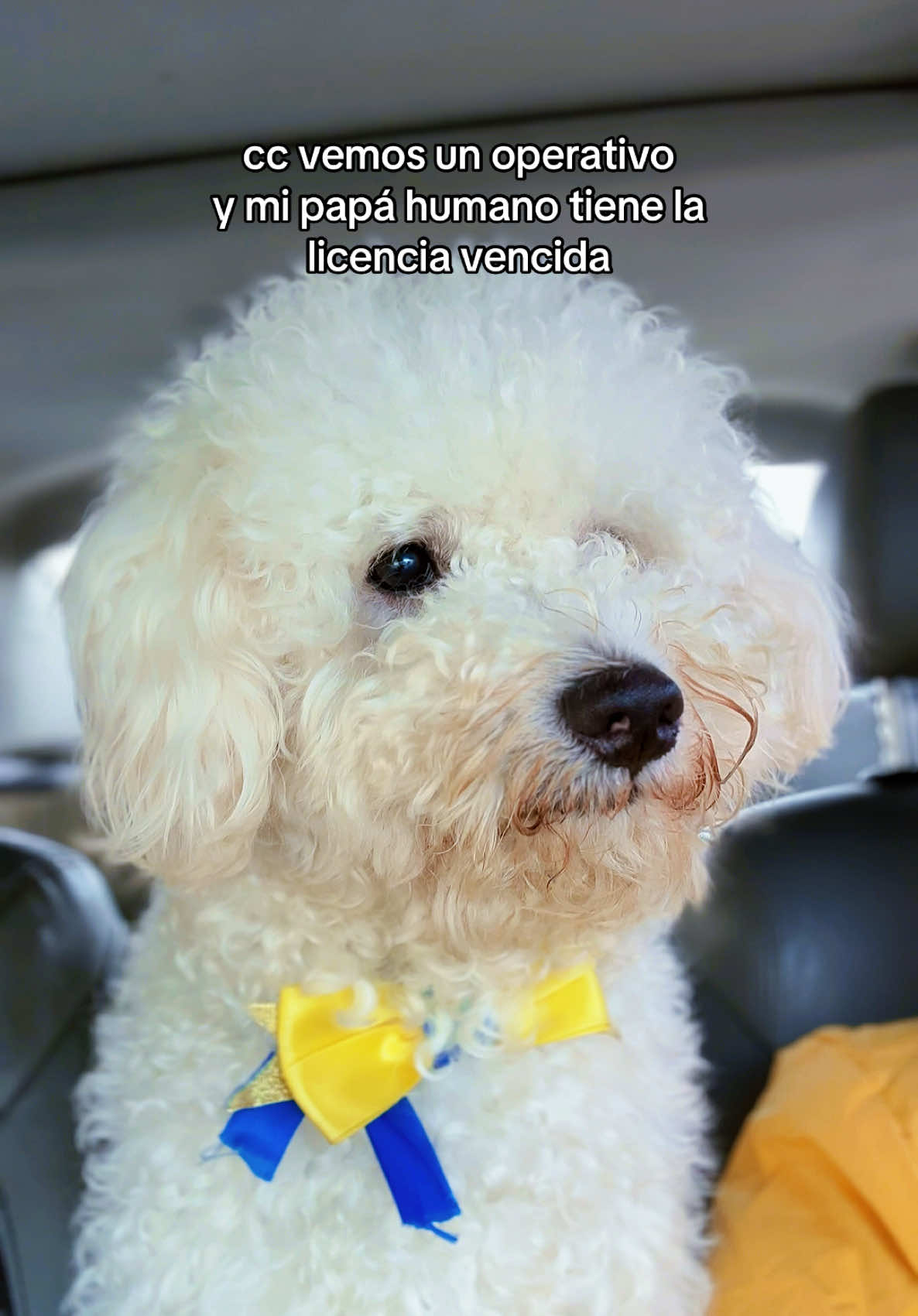 @Julio Campo&sect;