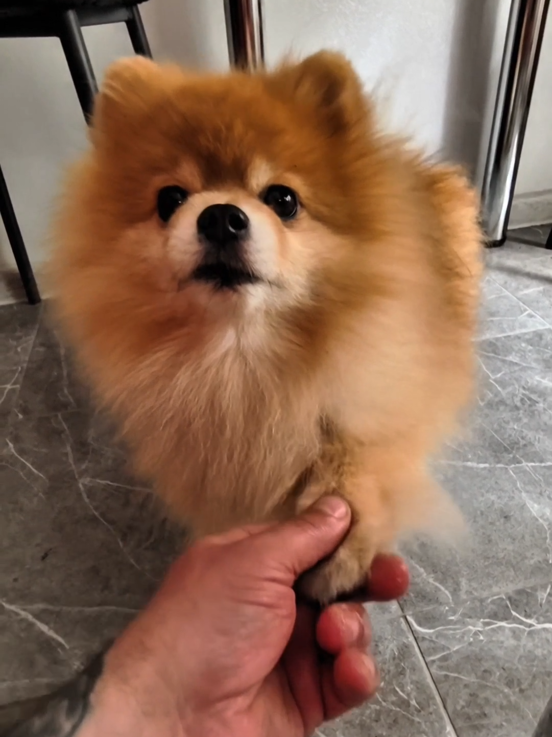 @Пухлый 🤣🤣