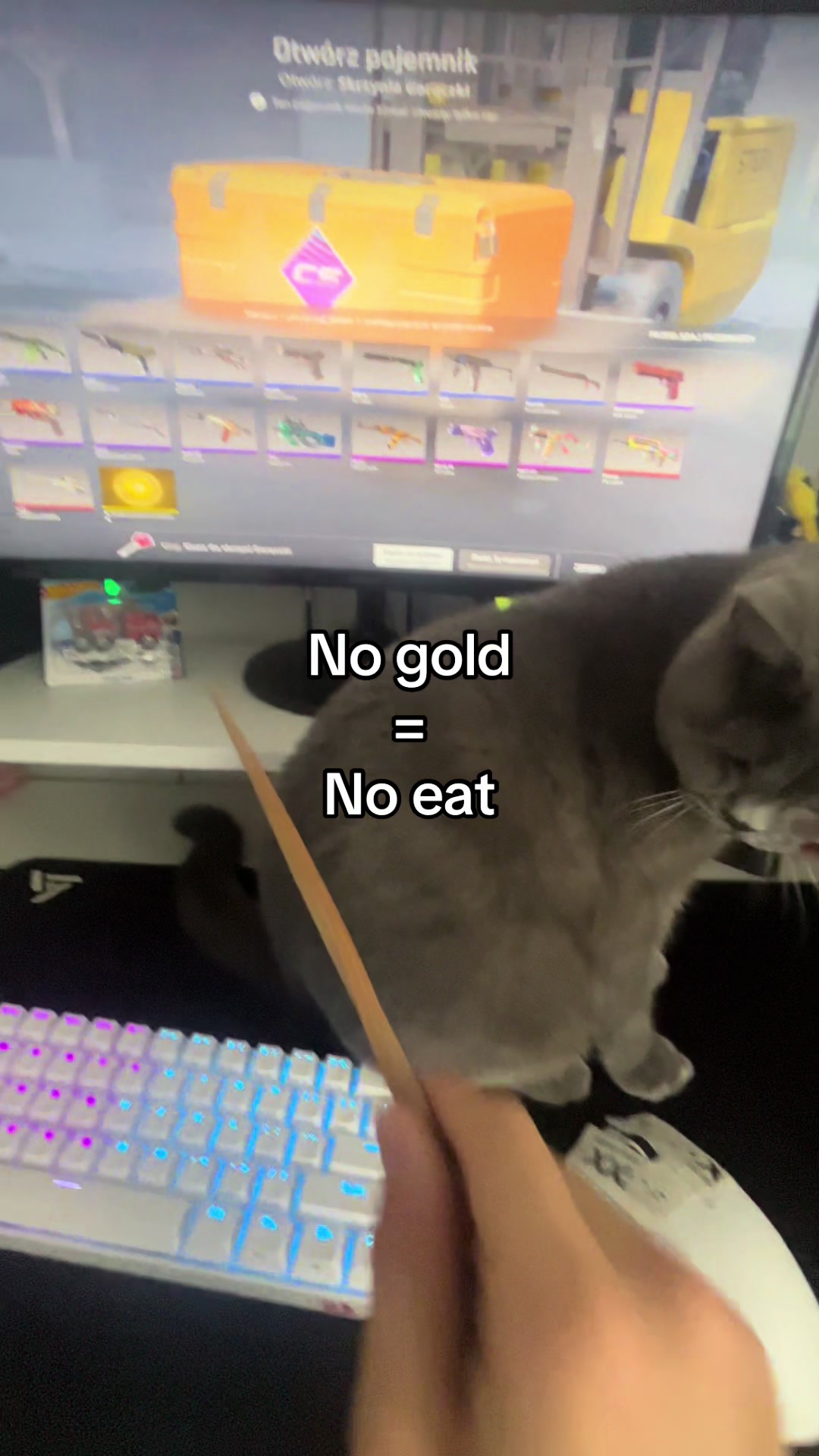 @Grafi🐱
