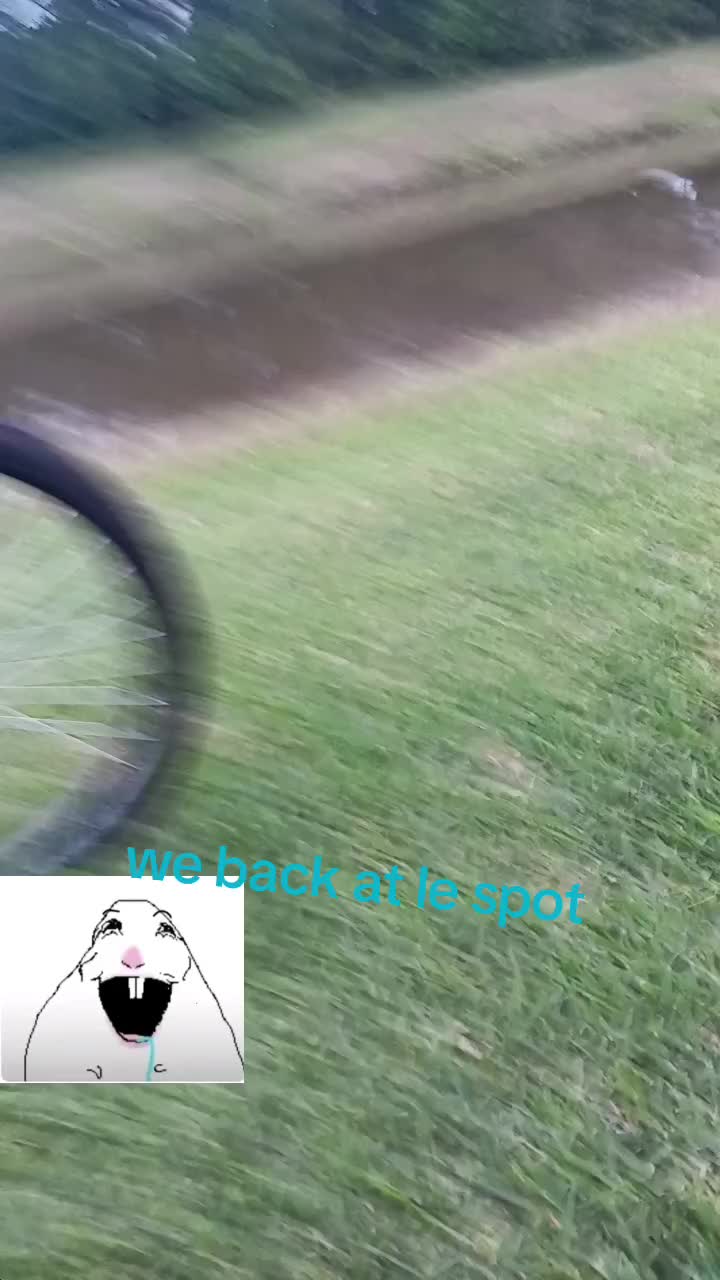 @✅️🔥🎸sillyBASSguy🎸🔥✅️