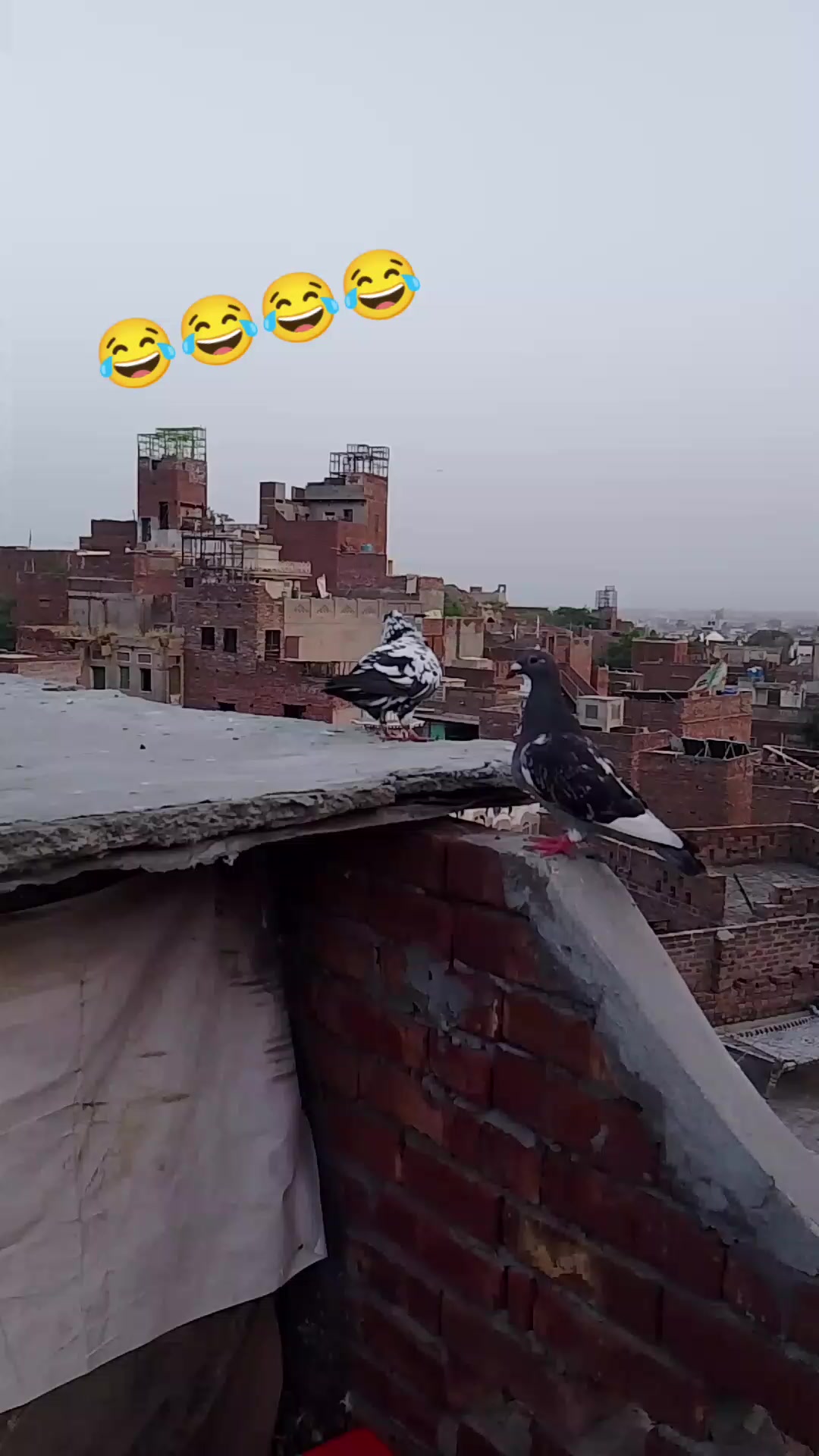 @بلال وسیر✨