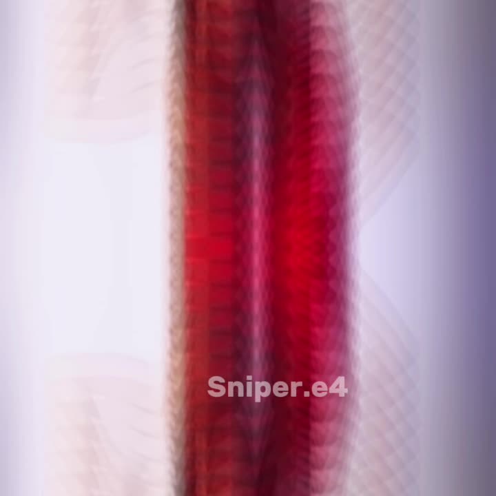 @sniper.e4