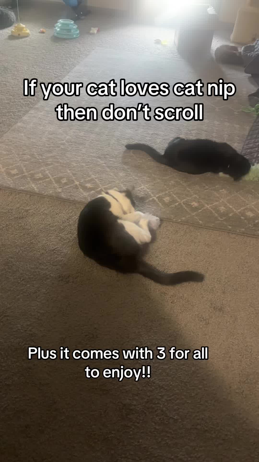 @ash💋🪩