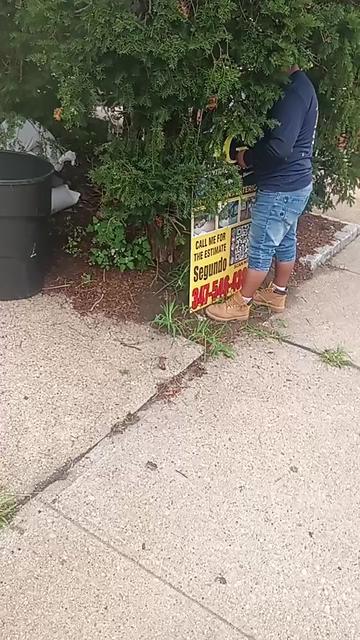 @el rey de los diseños en NY