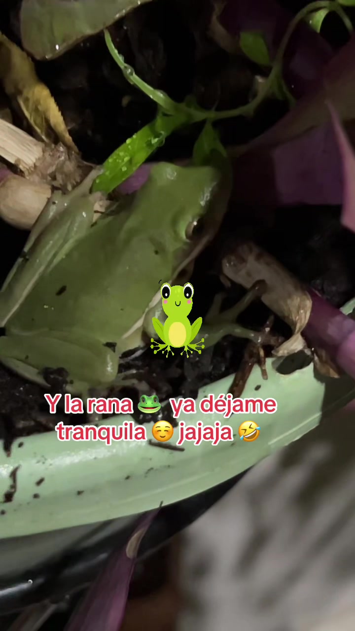 @Mariposita