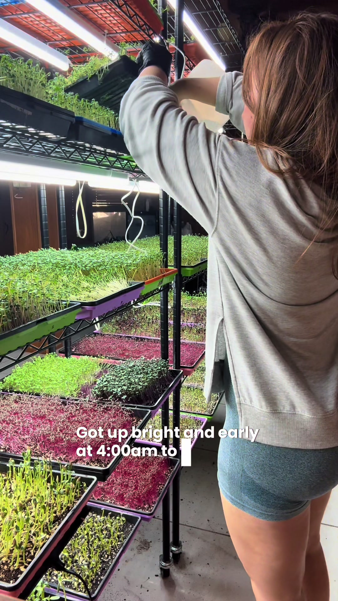 @Local Grown